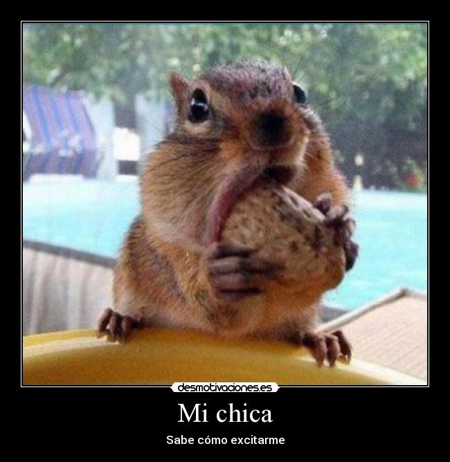 carteles las ardillas molan desmotivaciones