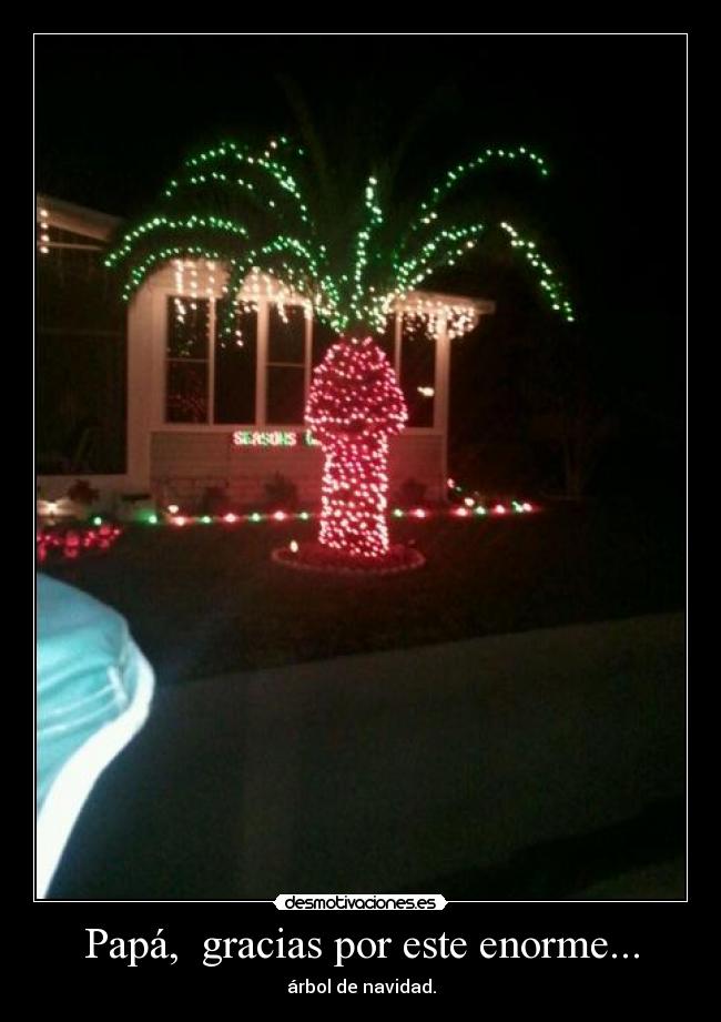Papá,  gracias por este enorme... - árbol de navidad.