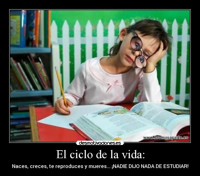 El ciclo de la vida: - Naces, creces, te reproduces y mueres... ¡NADIE DIJO NADA DE ESTUDIAR!
