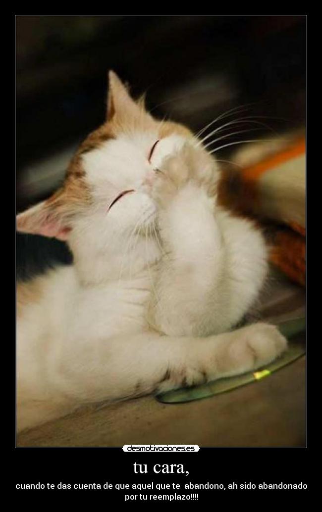 carteles  desmotivaciones