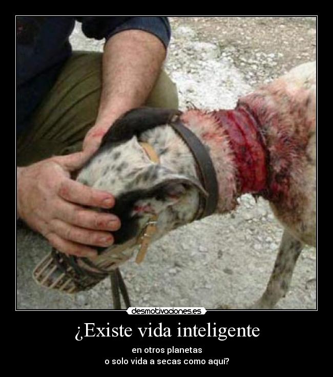 ¿Existe vida inteligente - en otros planetas
o solo vida a secas como aquí?