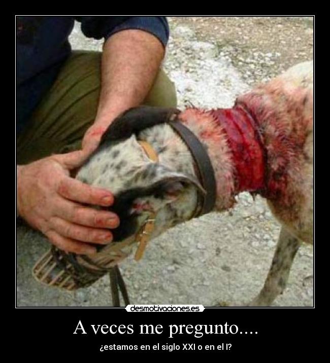 A veces me pregunto.... - 