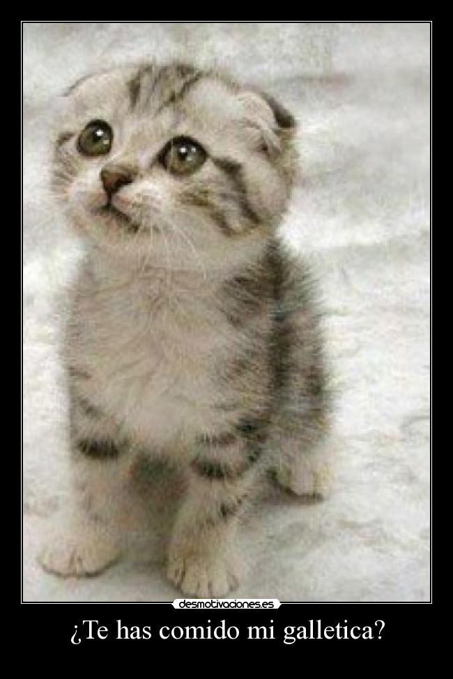 ¿Te has comido mi galletica? -