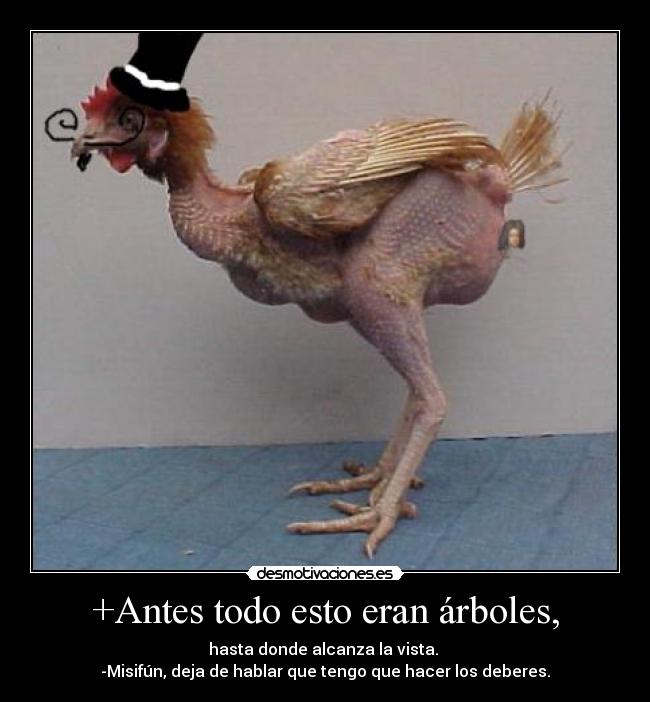 +Antes todo esto eran árboles, - hasta donde alcanza la vista.
-Misifún, deja de hablar que tengo que hacer los deberes.