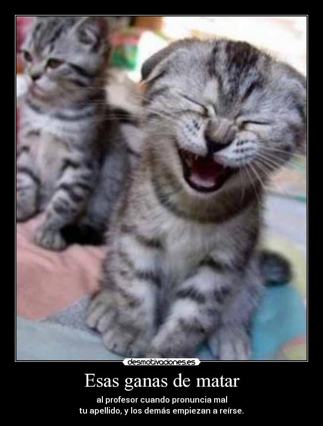carteles gato desmotivaciones