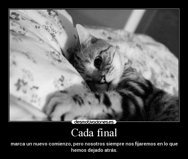 Cada final - 