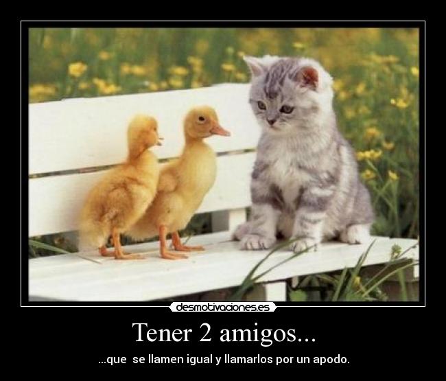Tener 2 amigos... -