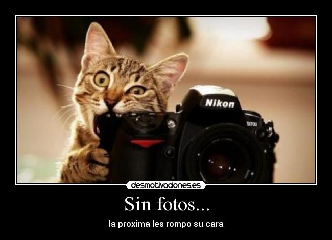 Sin fotos... - 