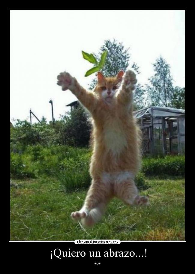 ¡Quiero un abrazo...! - *-*
