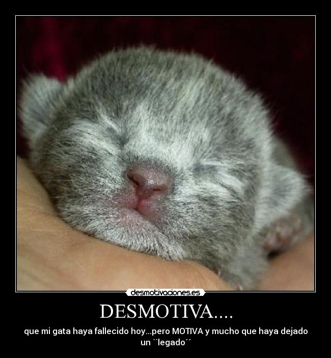 DESMOTIVA.... -