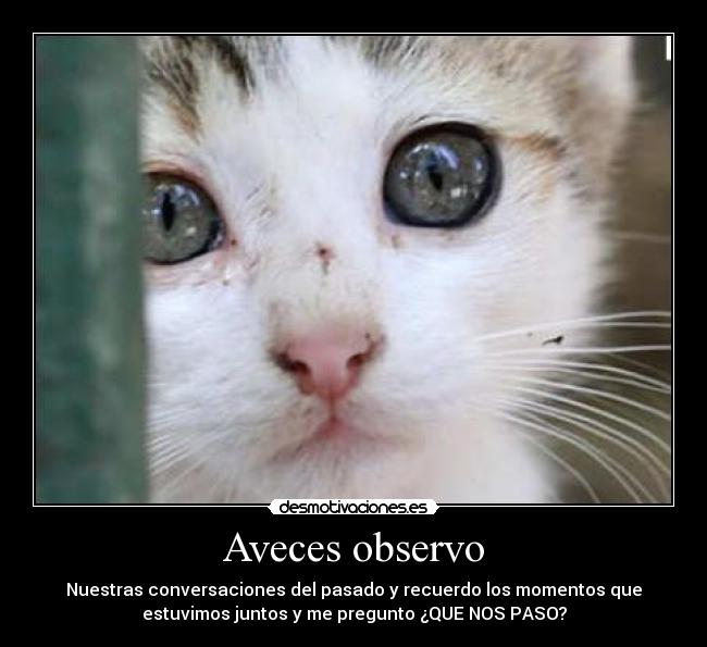 Aveces observo -