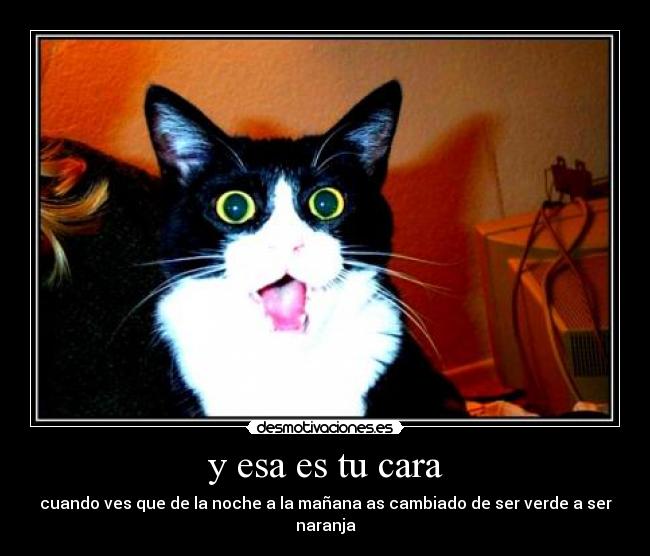 y esa es tu cara - cuando ves que de la noche a la mañana as cambiado de ser verde a ser naranja