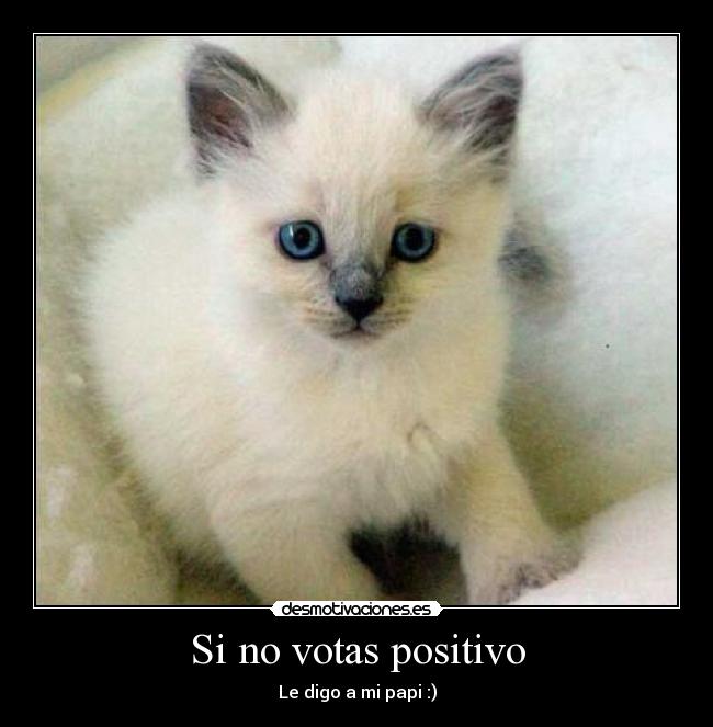 Si no votas positivo - Le digo a mi papi :)