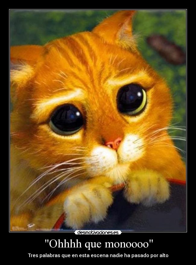 GATITO DE SHREK gatito de shrek: