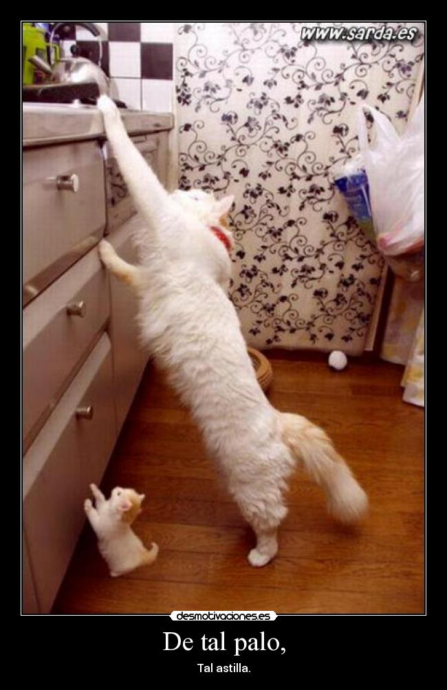De tal palo, - 