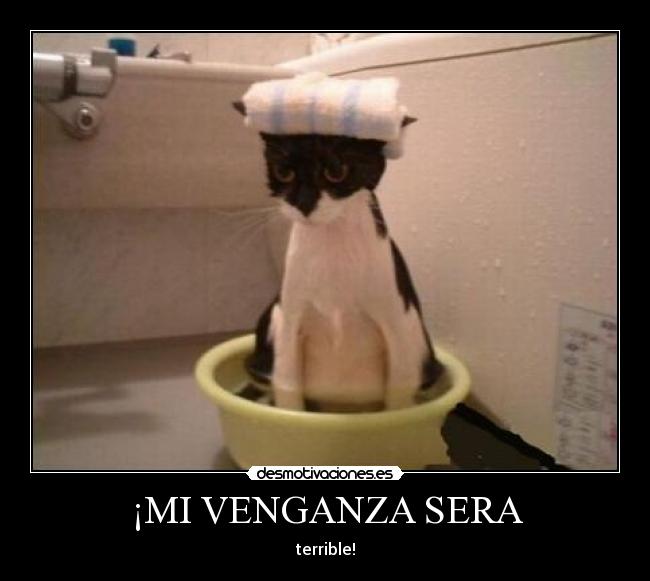 ¡MI VENGANZA SERA -