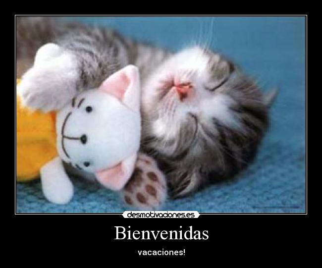 Bienvenidas - vacaciones!
