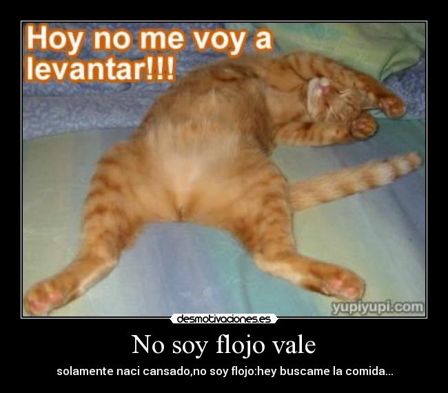 No soy flojo vale -