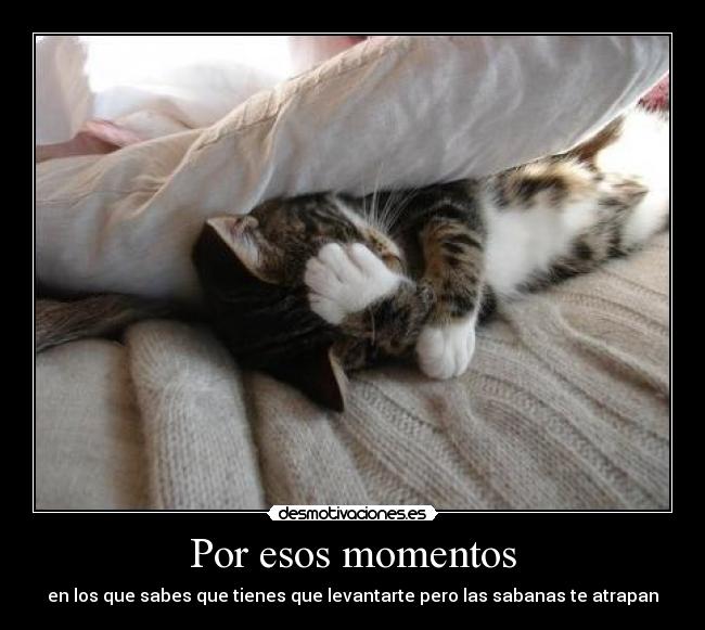 Por esos momentos - en los que sabes que tienes que levantarte pero las sabanas te atrapan