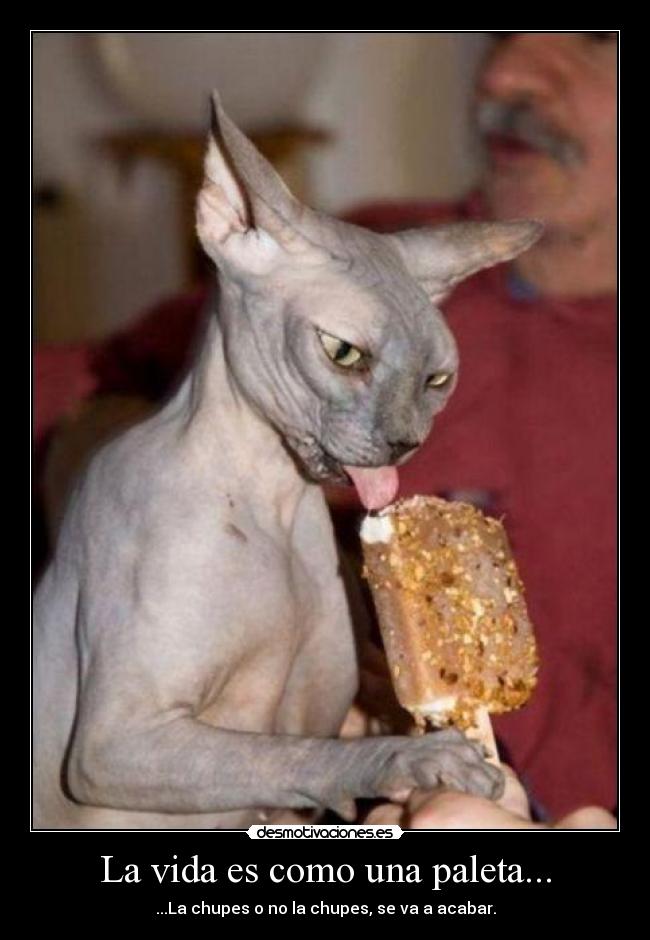 La vida es como una paleta... -