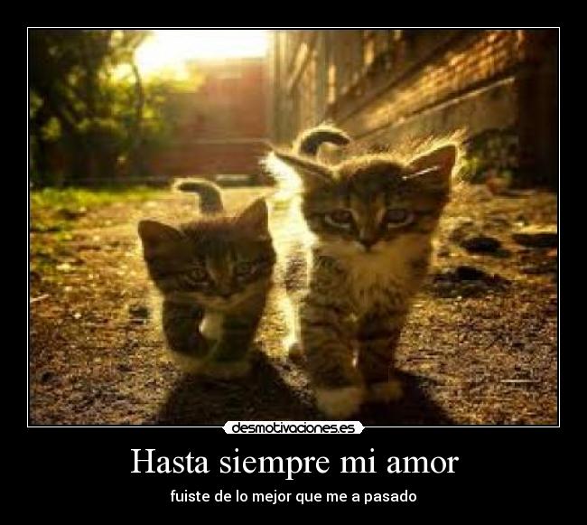 Hasta siempre mi amor - fuiste de lo mejor que me a pasado