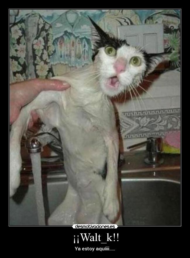 ¡¡Walt_k!! - 