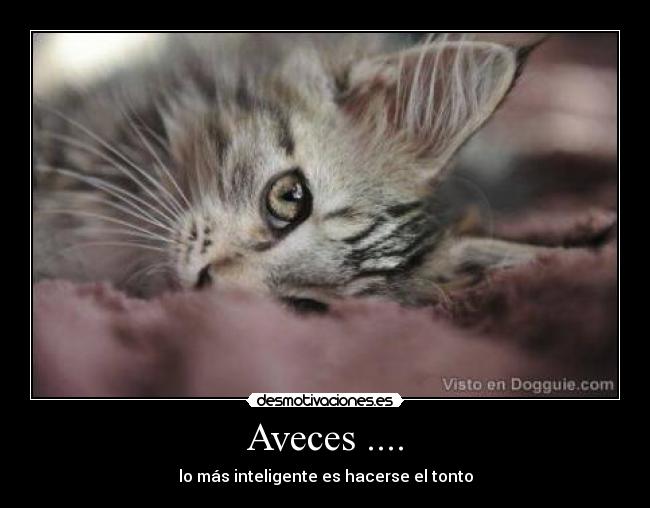 Aveces .... - 