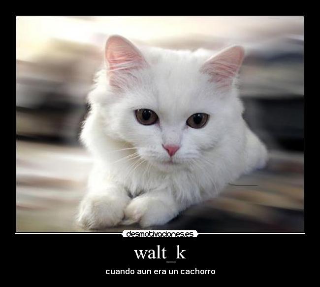 walt_k -