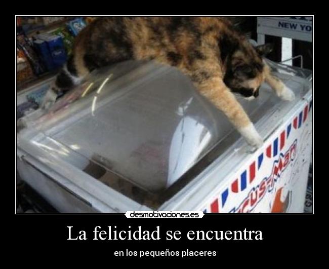 La felicidad se encuentra - 