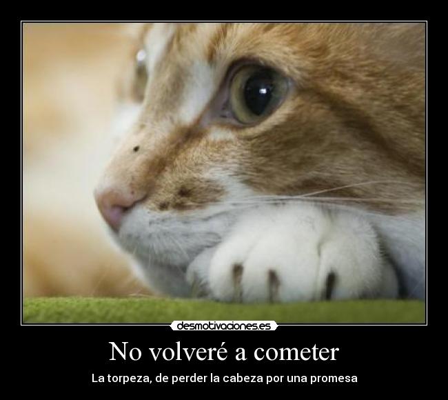 No volveré a cometer - La torpeza, de perder la cabeza por una promesa