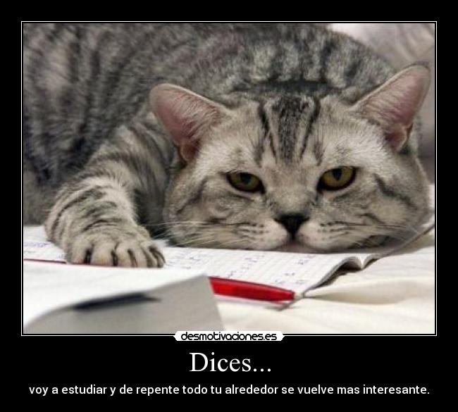 Dices... - voy a estudiar y de repente todo tu alrededor se vuelve mas interesante.