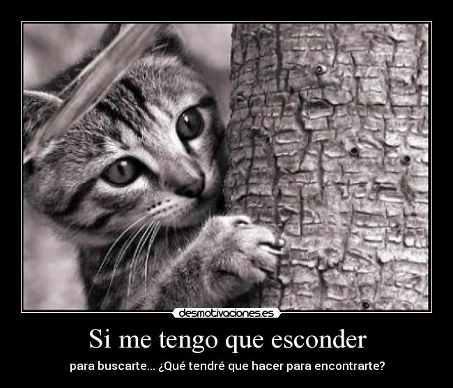 Si me tengo que esconder -