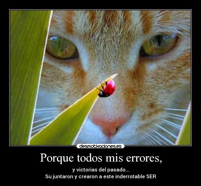 Porque todos mis errores, - y victorias del pasado...
Su juntaron y crearon a este inderrotable SER