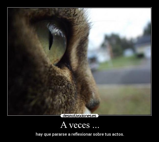 A veces ... - hay que pararse a reflexionar sobre tus actos.
