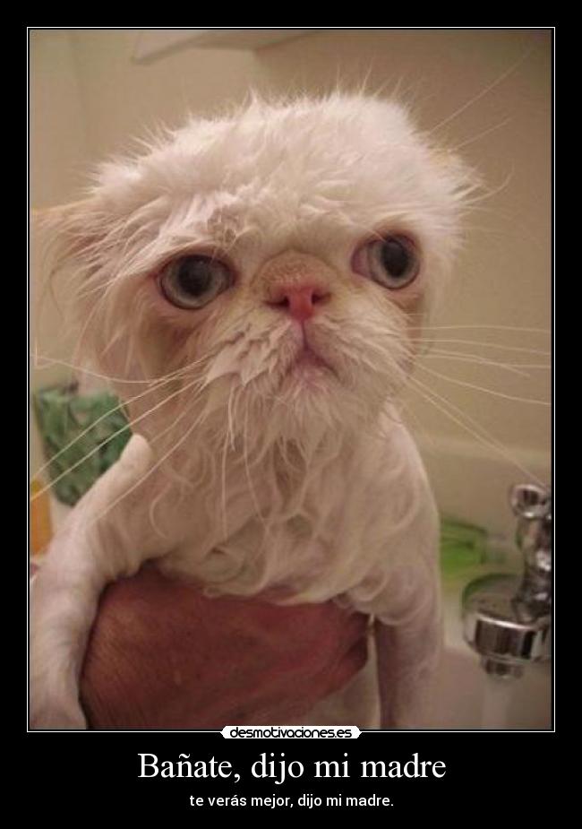 Bañate, dijo mi madre -