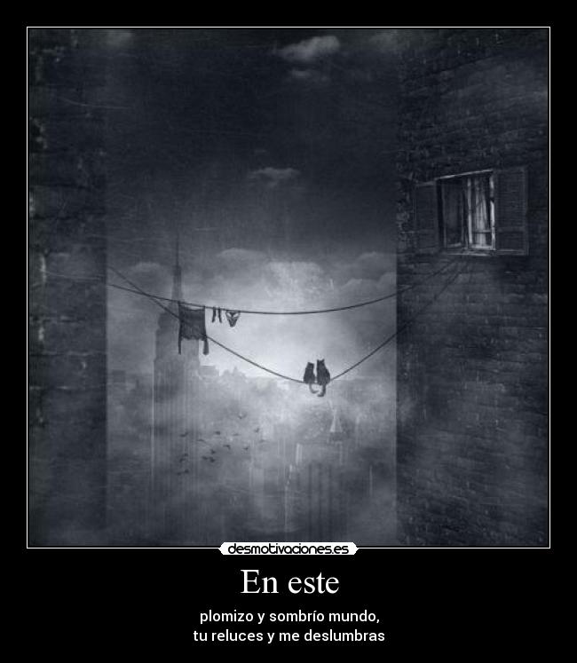 En este - plomizo y sombrío mundo,
tu reluces y me deslumbras