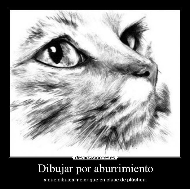 carteles dibujar gato desmotivaciones