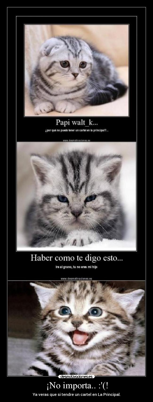 ¡No importa.. :(! -