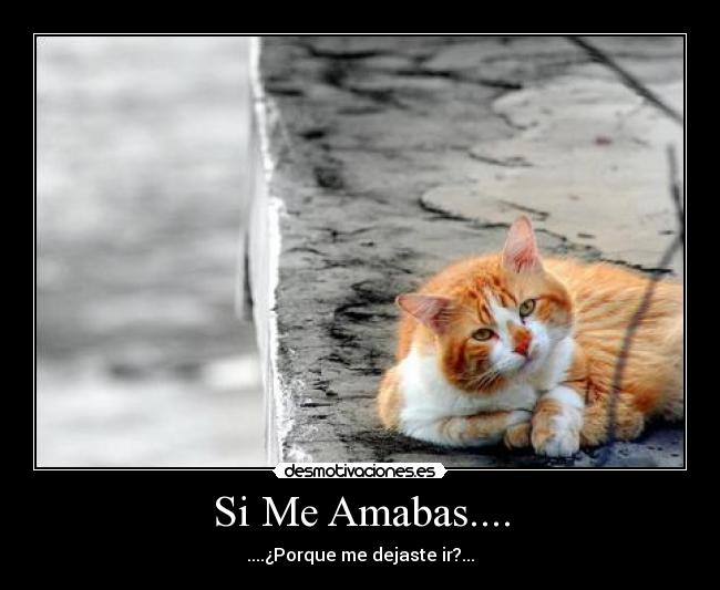 Si Me Amabas.... - ....¿Porque me dejaste ir?...