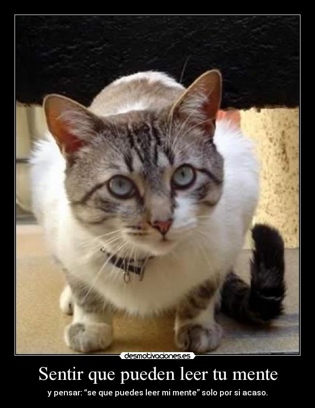 Sentir que pueden leer tu mente -
