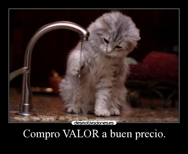 Compro VALOR a buen precio. -