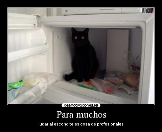 carteles pille desmotivaciones