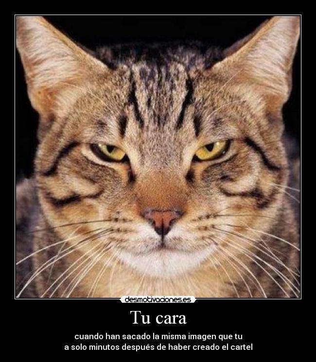 Tu cara -