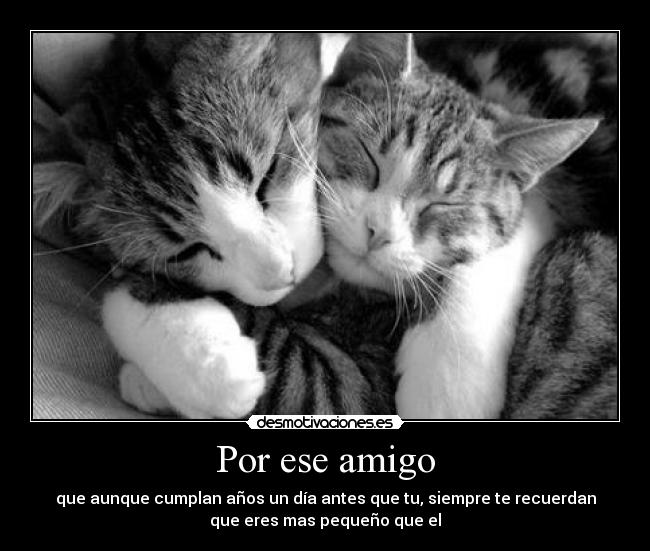 Por ese amigo -