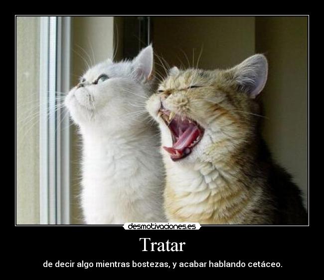 Tratar - 