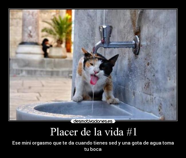 Placer de la vida #1 - Ese mini orgasmo que te da cuando tienes sed y una gota de agua toma tu boca