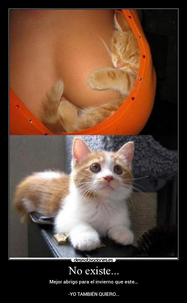 No existe... - Mejor abrigo para el invierno que este…
-YO TAMBIÉN QUIERO...