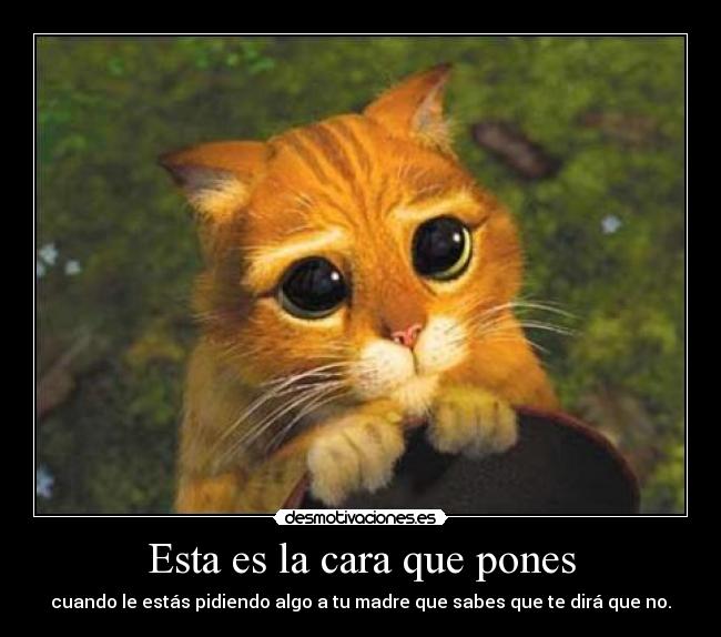 Esta es la cara que pones -