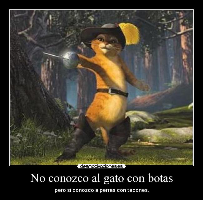 No conozco al gato con botas - 