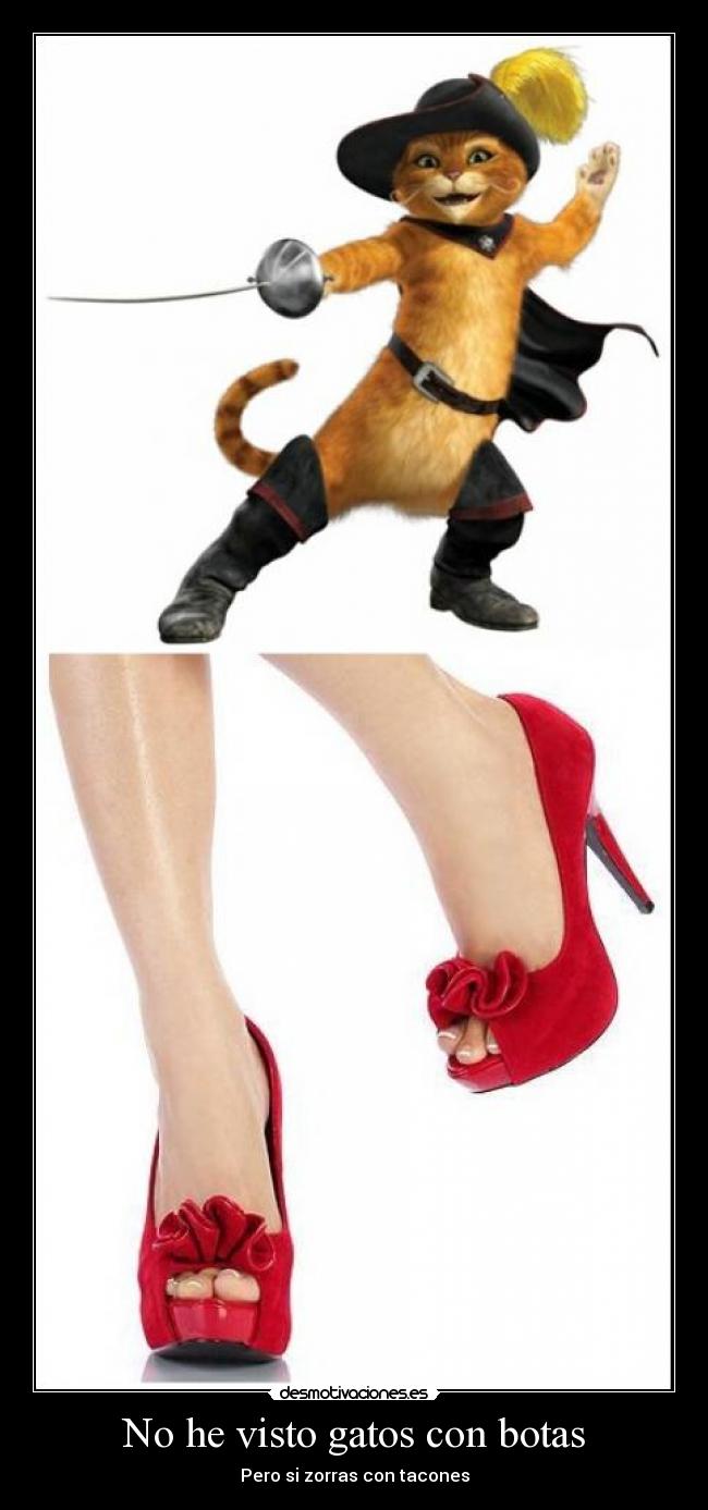 No he visto gatos con botas - Pero si zorras con tacones